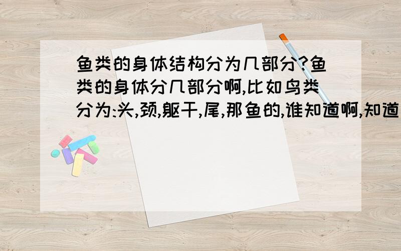 鱼类的身体结构分为几部分?鱼类的身体分几部分啊,比如鸟类分为:头,颈,躯干,尾,那鱼的,谁知道啊,知道的帮帮忙