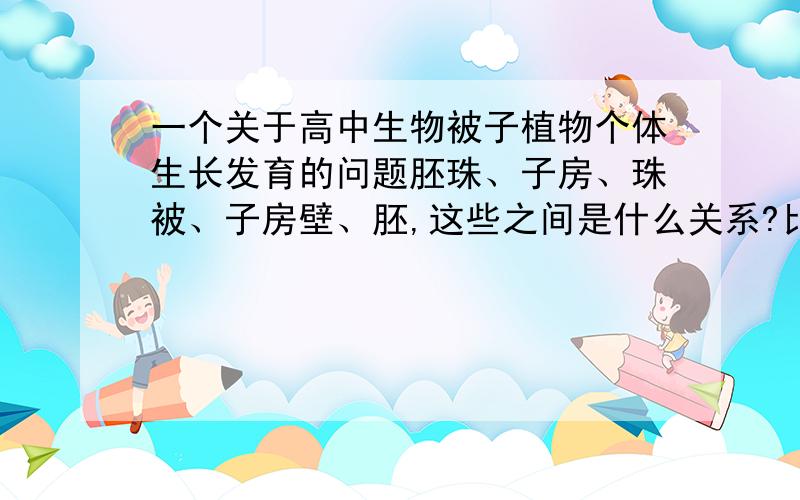 一个关于高中生物被子植物个体生长发育的问题胚珠、子房、珠被、子房壁、胚,这些之间是什么关系?比如哪些属于哪些?或者哪些与哪些是并列的?或者哪些是由哪些发育而来的?这些把我弄