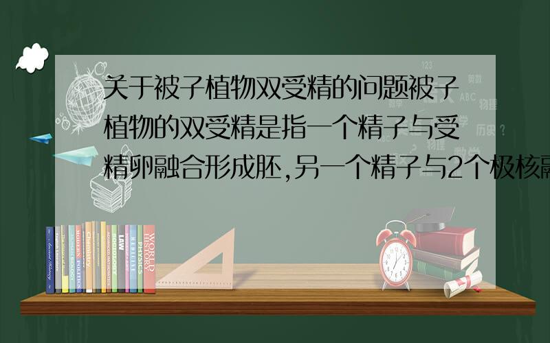 关于被子植物双受精的问题被子植物的双受精是指一个精子与受精卵融合形成胚,另一个精子与2个极核融合形成（   ）的现象?