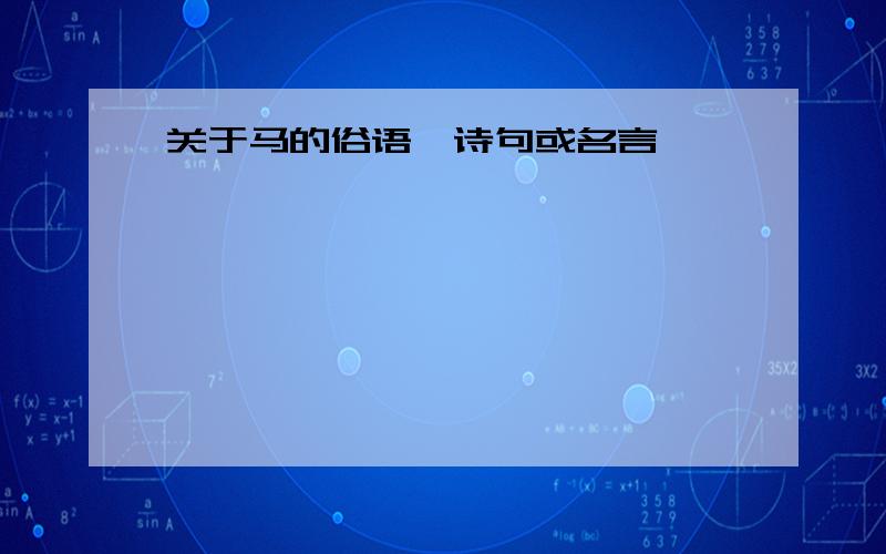 关于马的俗语,诗句或名言