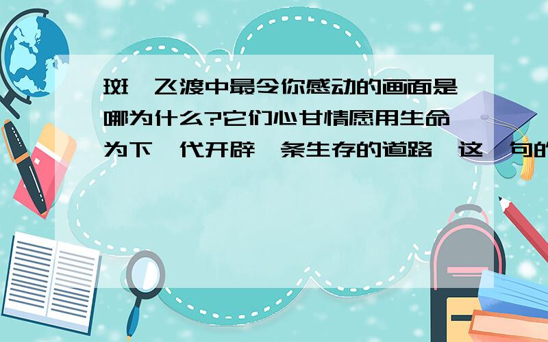 斑羚飞渡中最令你感动的画面是哪为什么?它们心甘情愿用生命为下一代开辟一条生存的道路,这一句的赏析