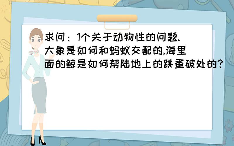 求问：1个关于动物性的问题.大象是如何和蚂蚁交配的,海里面的鲸是如何帮陆地上的跳蚤破处的?