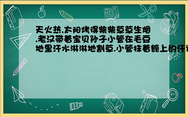 天火热,太阳烤得柴柴草草生烟.老汉带着宝贝孙子小管在毛豆地里汗水淋淋地割草.小管抹着额上的汗说：