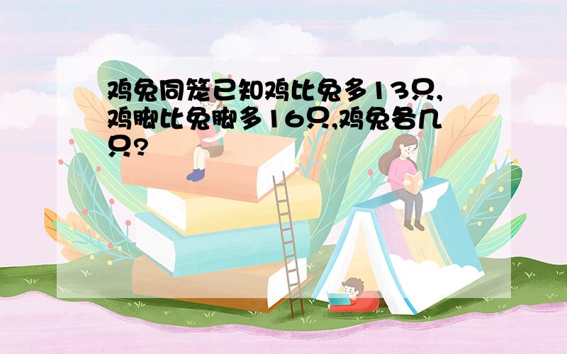 鸡兔同笼已知鸡比兔多13只,鸡脚比兔脚多16只,鸡兔各几只?