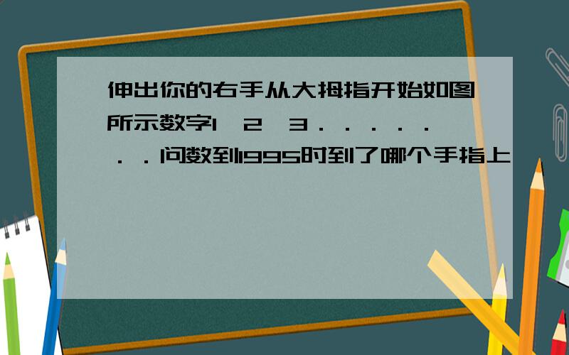 伸出你的右手从大拇指开始如图所示数字1,2,3．．．．．．．问数到1995时到了哪个手指上