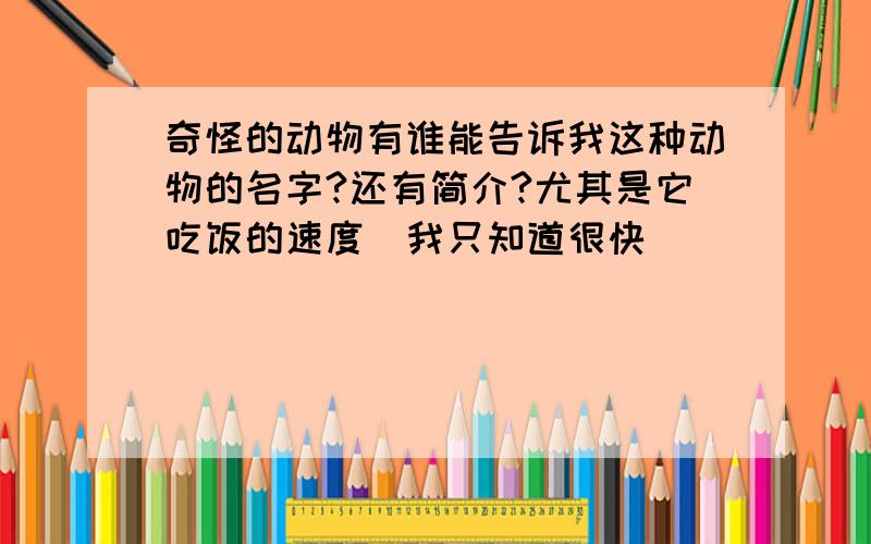 奇怪的动物有谁能告诉我这种动物的名字?还有简介?尤其是它吃饭的速度（我只知道很快）