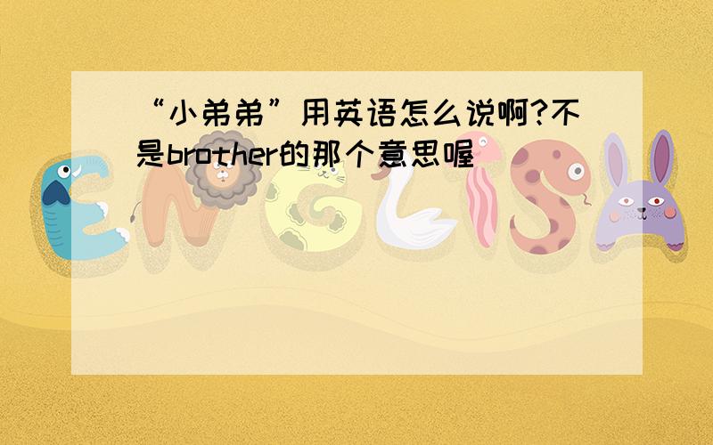 “小弟弟”用英语怎么说啊?不是brother的那个意思喔