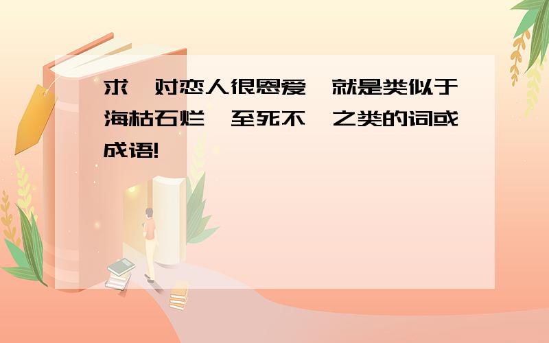 求一对恋人很恩爱,就是类似于海枯石烂、至死不渝之类的词或成语!