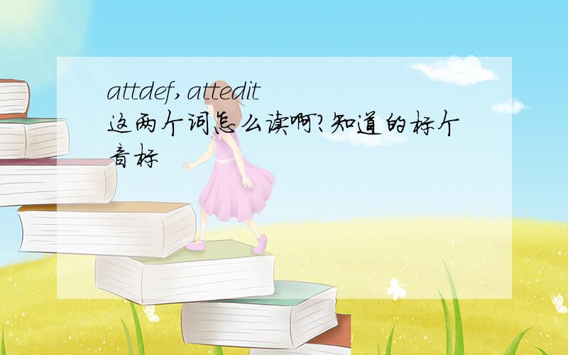 attdef,attedit这两个词怎么读啊?知道的标个音标