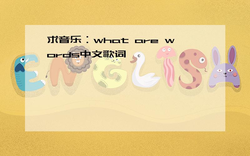 求音乐：what are words中文歌词