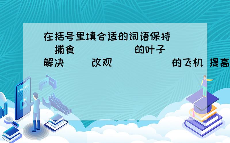 在括号里填合适的词语保持（ ）捕食（ ） （ ）的叶子 解决（ ）改观（ ） （ )的飞机 提高（ ）增强（ ） （ ）的启示