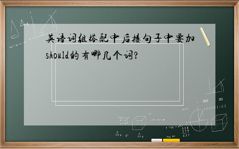 英语词组搭配中后接句子中要加should的有哪几个词?