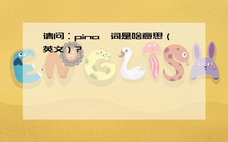 请问：pina一词是啥意思（英文）?