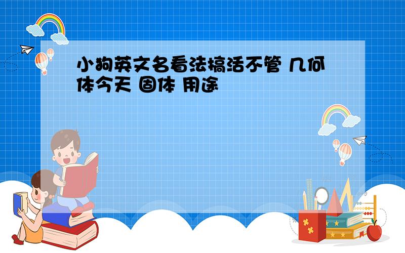 小狗英文名看法搞活不管 几何体今天 固体 用途