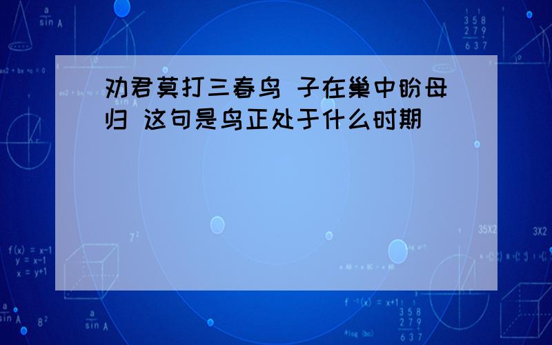 劝君莫打三春鸟 子在巢中盼母归 这句是鸟正处于什么时期