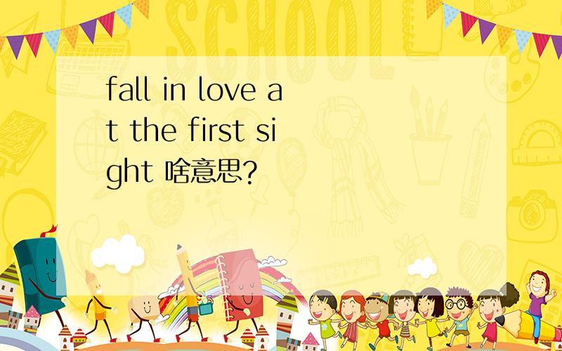 fall in love at the first sight 啥意思?