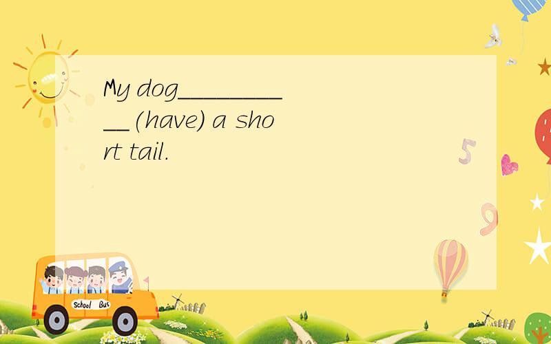 My dog__________(have) a short tail.