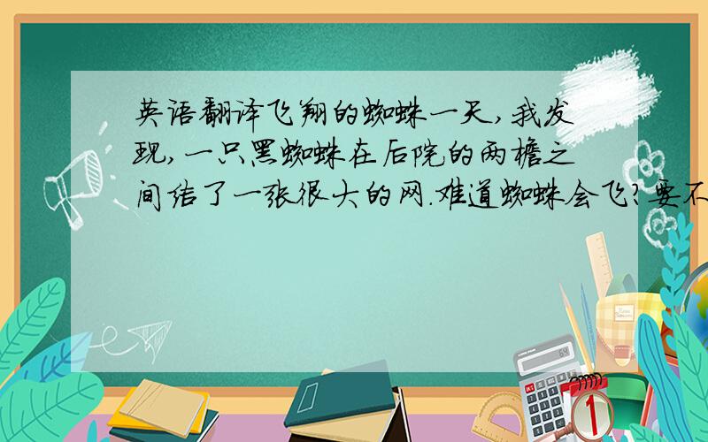 英语翻译飞翔的蜘蛛一天,我发现,一只黑蜘蛛在后院的两檐之间结了一张很大的网.难道蜘蛛会飞?要不,从这个檐头到那个檐头,中间有3米余宽,第一根线是怎么拉过去的?后来,我发现蜘蛛走了许