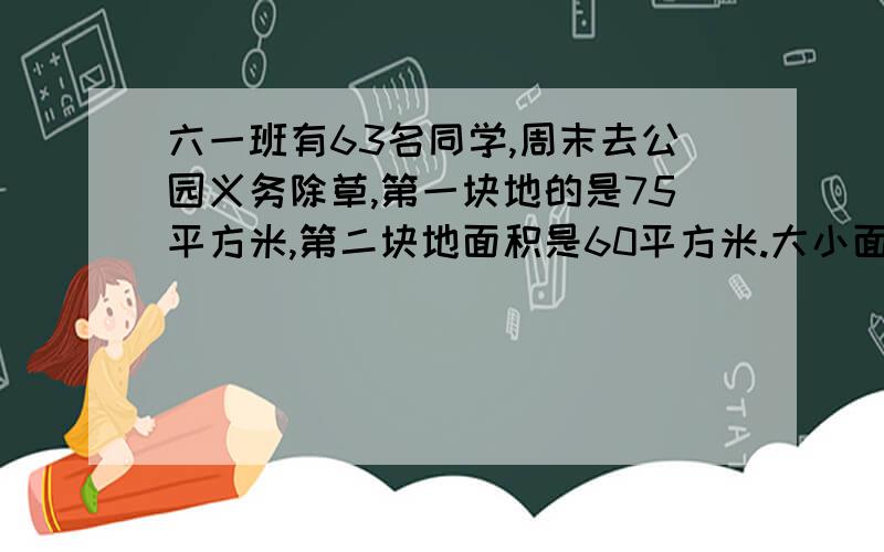 六一班有63名同学,周末去公园义务除草,第一块地的是75平方米,第二块地面积是60平方米.大小面积分各多少名同学?