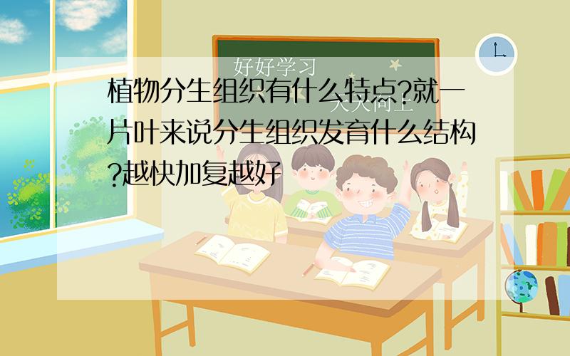 植物分生组织有什么特点?就一片叶来说分生组织发育什么结构?越快加复越好