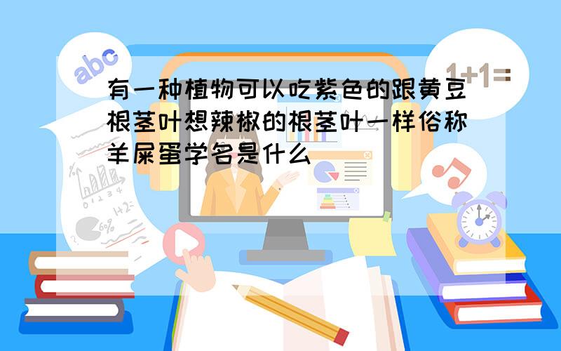 有一种植物可以吃紫色的跟黄豆根茎叶想辣椒的根茎叶一样俗称羊屎蛋学名是什么
