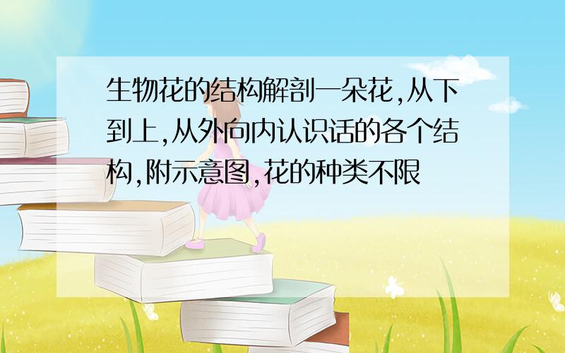 生物花的结构解剖一朵花,从下到上,从外向内认识话的各个结构,附示意图,花的种类不限