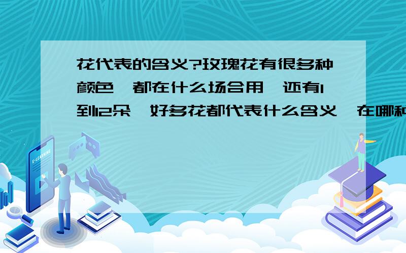 花代表的含义?玫瑰花有很多种颜色,都在什么场合用,还有1到12朵,好多花都代表什么含义,在哪种情况送什么花?