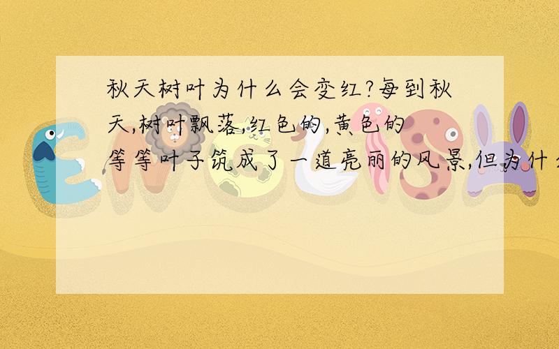 秋天树叶为什么会变红?每到秋天,树叶飘落,红色的,黄色的等等叶子筑成了一道亮丽的风景,但为什么会变红呢?