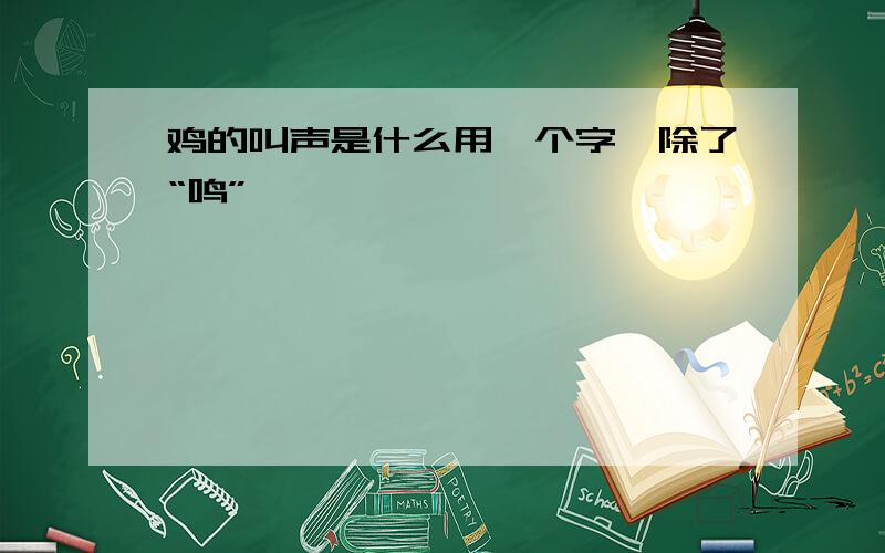 鸡的叫声是什么用一个字,除了“鸣”