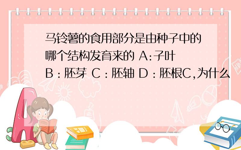 马铃薯的食用部分是由种子中的哪个结构发育来的 A:子叶 B：胚芽 C：胚轴 D：胚根C,为什么