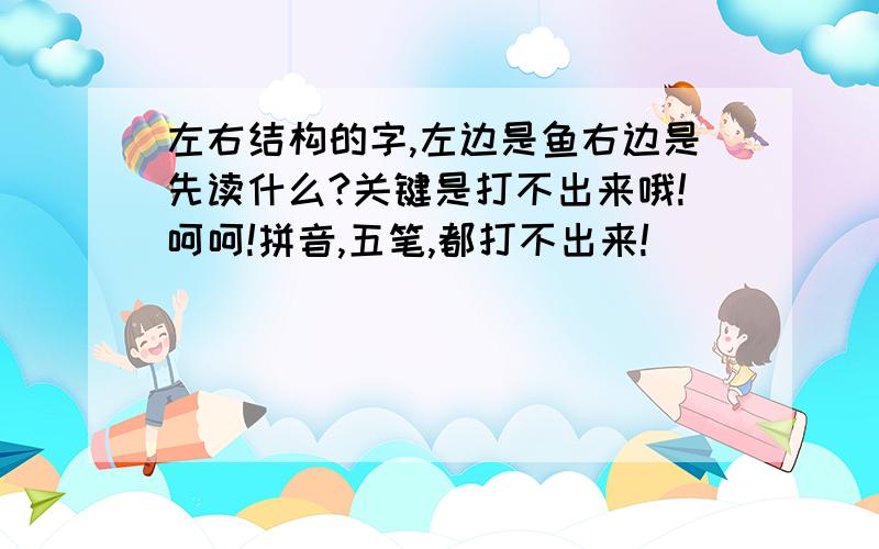 左右结构的字,左边是鱼右边是先读什么?关键是打不出来哦!呵呵!拼音,五笔,都打不出来!