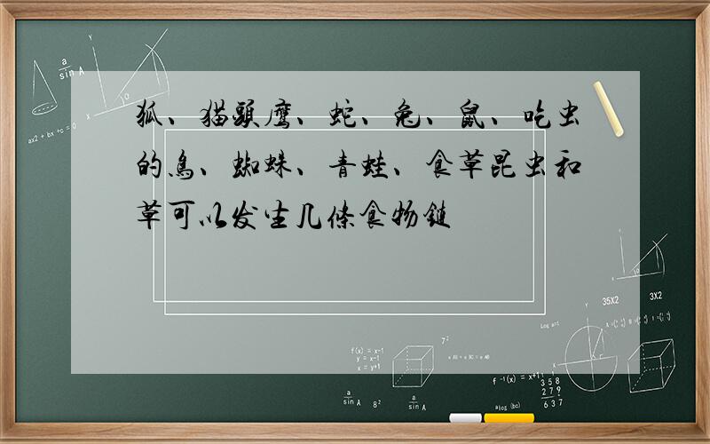 狐、猫头鹰、蛇、兔、鼠、吃虫的鸟、蜘蛛、青蛙、食草昆虫和草可以发生几条食物链