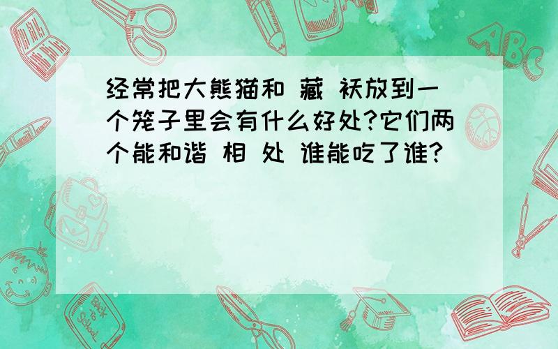 经常把大熊猫和 藏 袄放到一个笼子里会有什么好处?它们两个能和谐 相 处 谁能吃了谁?