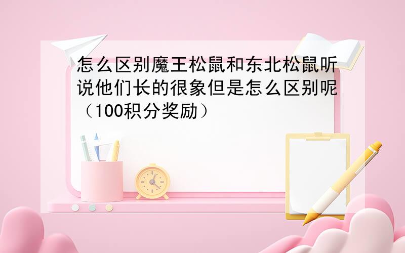 怎么区别魔王松鼠和东北松鼠听说他们长的很象但是怎么区别呢（100积分奖励）