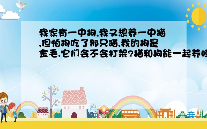 我家有一中狗,我又想养一中猫,但怕狗吃了那只猫,我的狗是金毛.它们会不会打架?猫和狗能一起养吗?