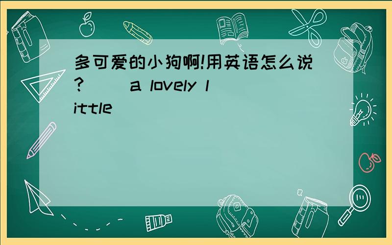 多可爱的小狗啊!用英语怎么说?( )a lovely little (