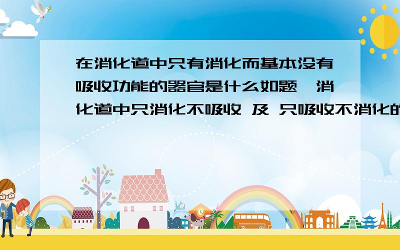 在消化道中只有消化而基本没有吸收功能的器官是什么如题,消化道中只消化不吸收 及 只吸收不消化的器官 分别是什么