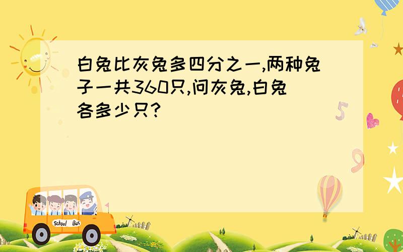 白兔比灰兔多四分之一,两种兔子一共360只,问灰兔,白兔各多少只?