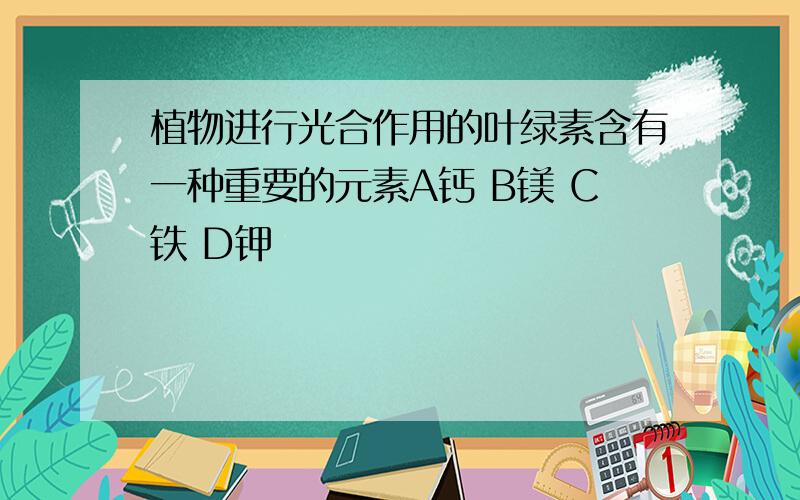 植物进行光合作用的叶绿素含有一种重要的元素A钙 B镁 C铁 D钾