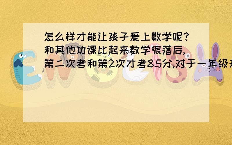 怎么样才能让孩子爱上数学呢?和其他功课比起来数学很落后,第二次考和第2次才考85分,对于一年级来说是很差的,老师说他的关键问题在于上课注意力不集中,其实我觉得是他不懂,他的状态还