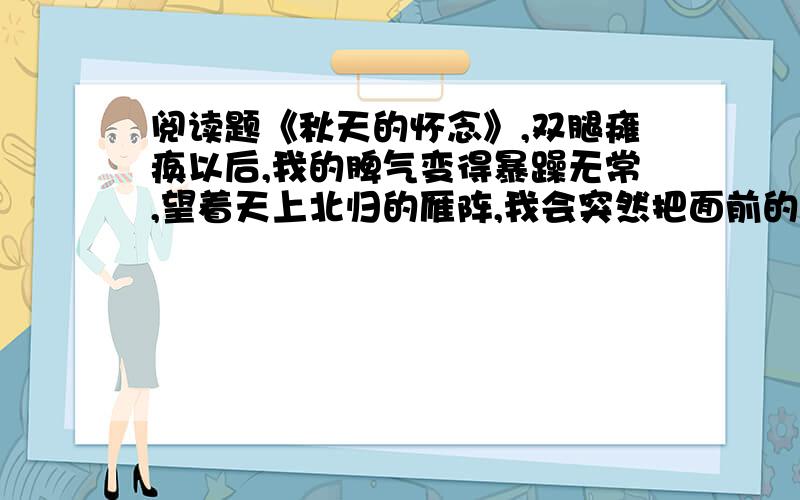 阅读题《秋天的怀念》,双腿瘫痪以后,我的脾气变得暴躁无常,望着天上北归的雁阵,我会突然把面前的玻璃砸碎；听着录音机里甜美的歌声,我会猛地把手边的东西摔向四周的墙壁.母亲这时就