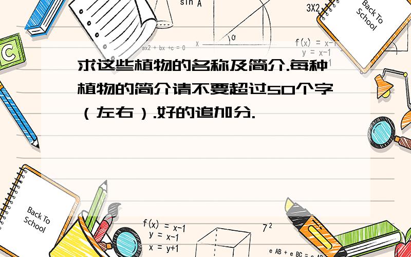 求这些植物的名称及简介.每种植物的简介请不要超过50个字（左右）.好的追加分.