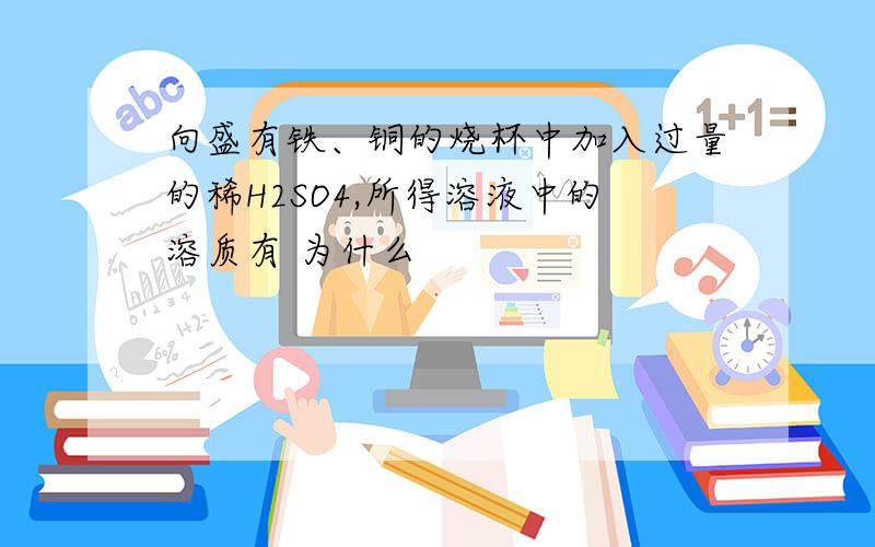 向盛有铁、铜的烧杯中加入过量的稀H2SO4,所得溶液中的溶质有 为什么