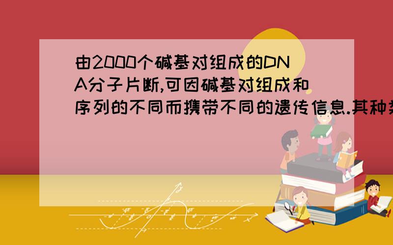 由2000个碱基对组成的DNA分子片断,可因碱基对组成和序列的不同而携带不同的遗传信息.其种类最多可达（）为什么是4^2000 因为是“碱基对”.我有点不理解.木庄子mzz ,我还是不懂..那为什么是