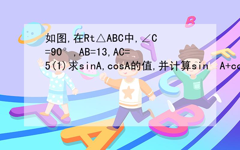 如图,在Rt△ABC中,∠C=90°,AB=13,AC=5(1)求sinA,cosA的值,并计算sin²A+cos²A的值（2）比较sinA,cosB的大小