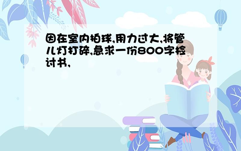 因在室内拍球,用力过大,将管儿灯打碎,急求一份800字检讨书,