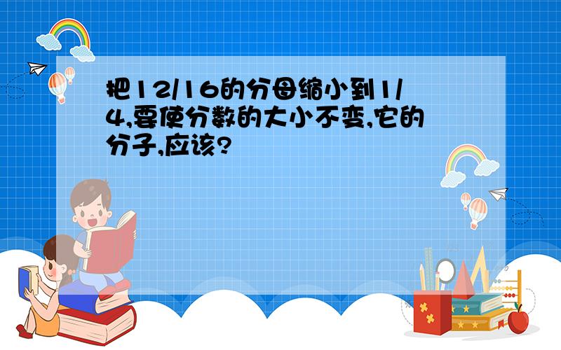 把12/16的分母缩小到1/4,要使分数的大小不变,它的分子,应该?