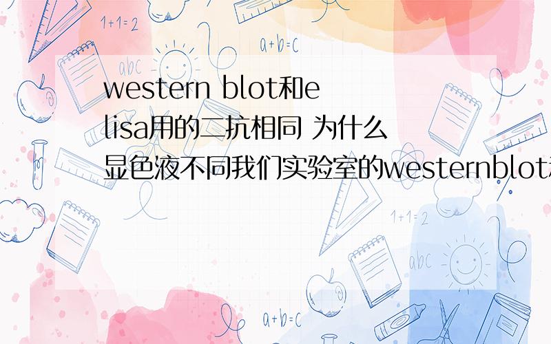 western blot和elisa用的二抗相同 为什么显色液不同我们实验室的westernblot和ELISA试验中使用的二抗都是汗HRP标记的二抗,同样的二抗,但是在显色的时候,westernblot使用的是DAB,ELISA使用的是TMB,请问为