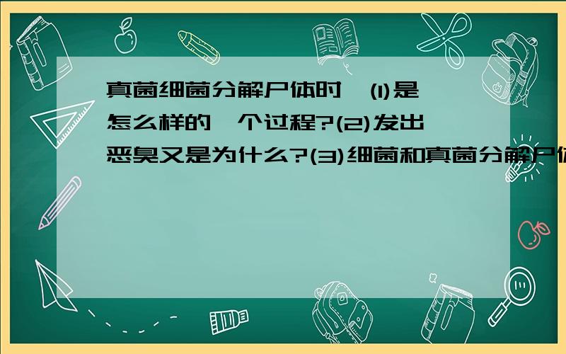 真菌细菌分解尸体时,(1)是怎么样的一个过程?(2)发出恶臭又是为什么?(3)细菌和真菌分解尸体,为什么有时候尸体会长蛆之类的虫子..问题有点恶心,会的请详细回答 别乱复制,