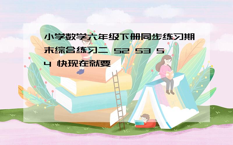 小学数学六年级下册同步练习期末综合练习二 52 53 54 快现在就要